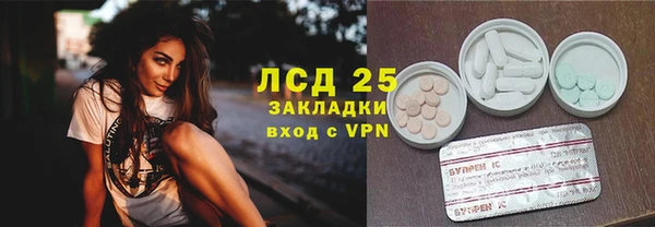 мдпв Бородино