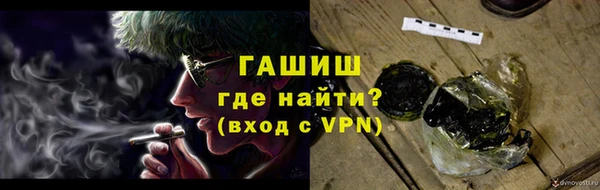 мдпв Бородино