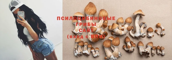 прущие крисы Бугульма