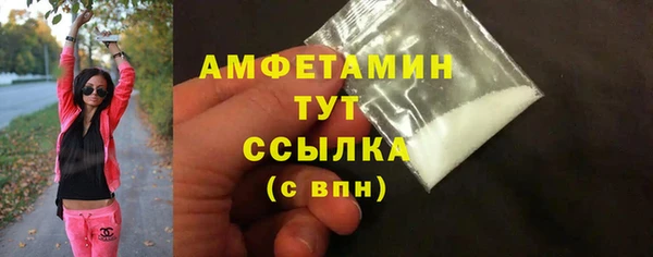 мдпв Бородино