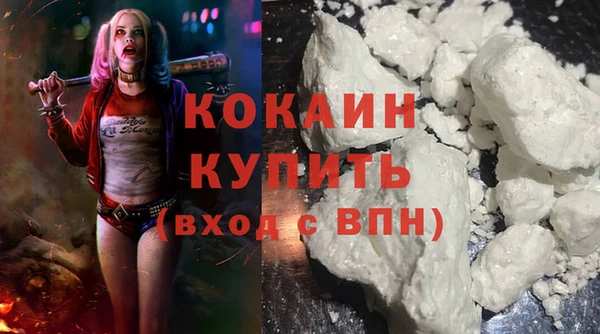 индика Волосово