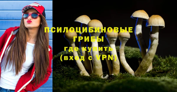 мдпв Бородино