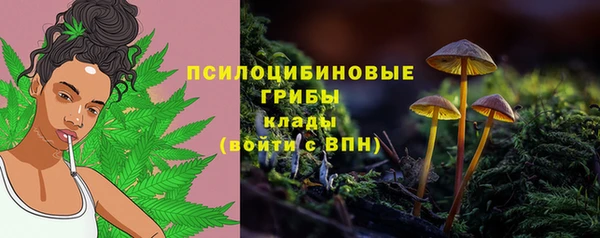 прущие крисы Бугульма