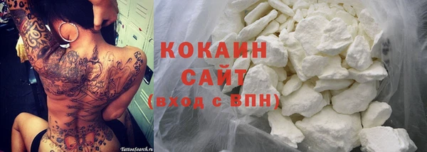 мдпв Бородино