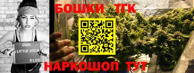 соль ск Гусев