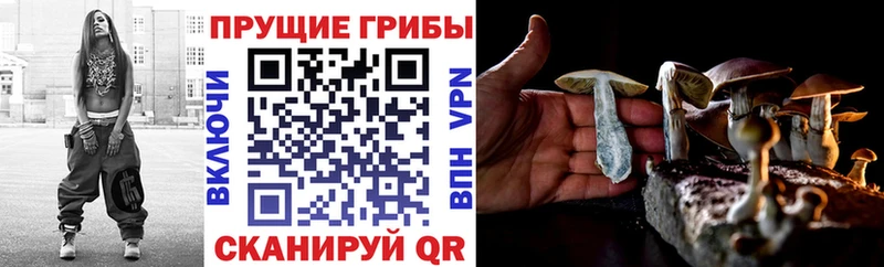 Галлюциногенные грибы MAGIC MUSHROOMS  Добрянка 